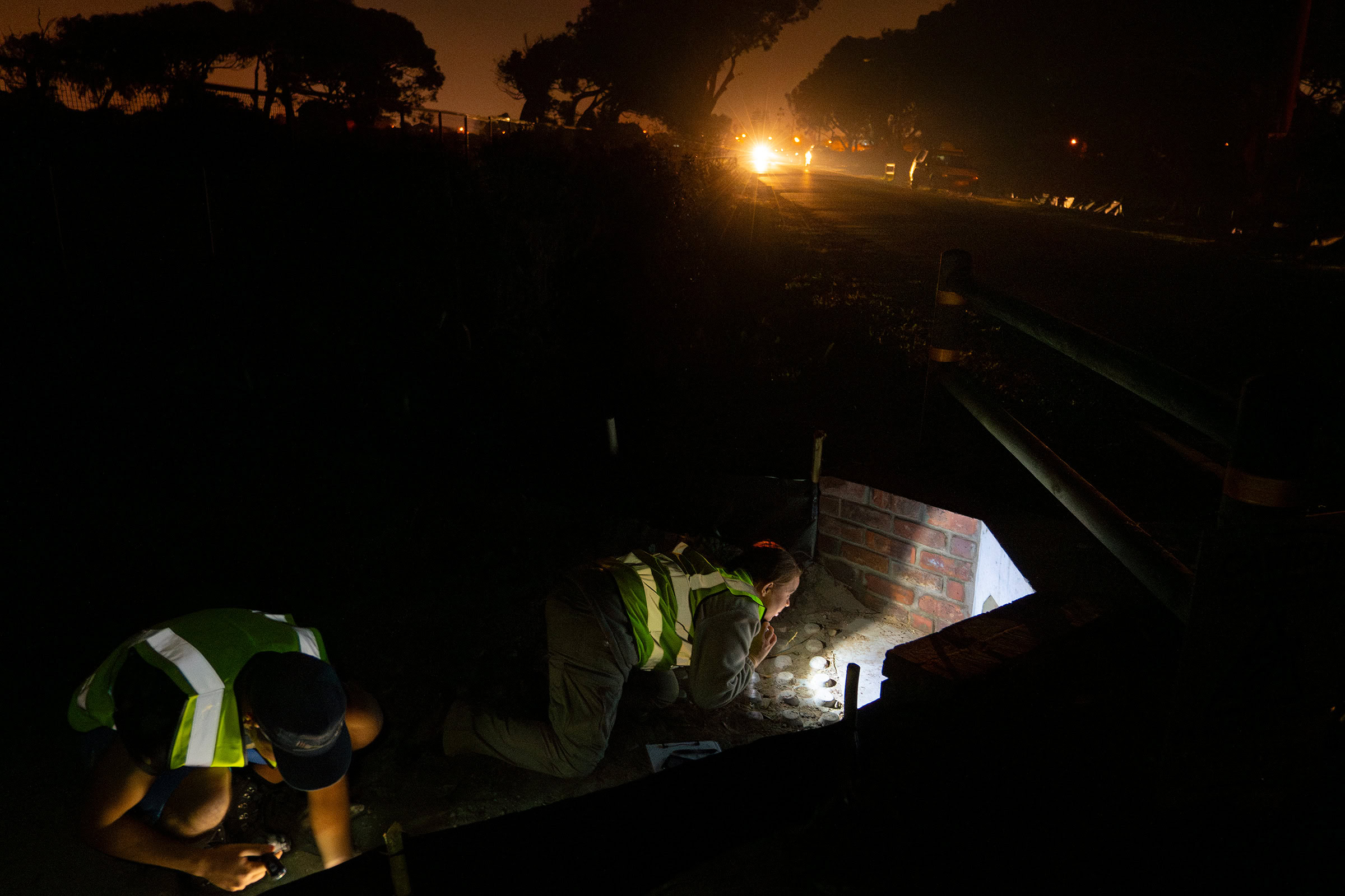 A research team from Nature Connect monitors activity in toad underpasses on a rainy winter night.
