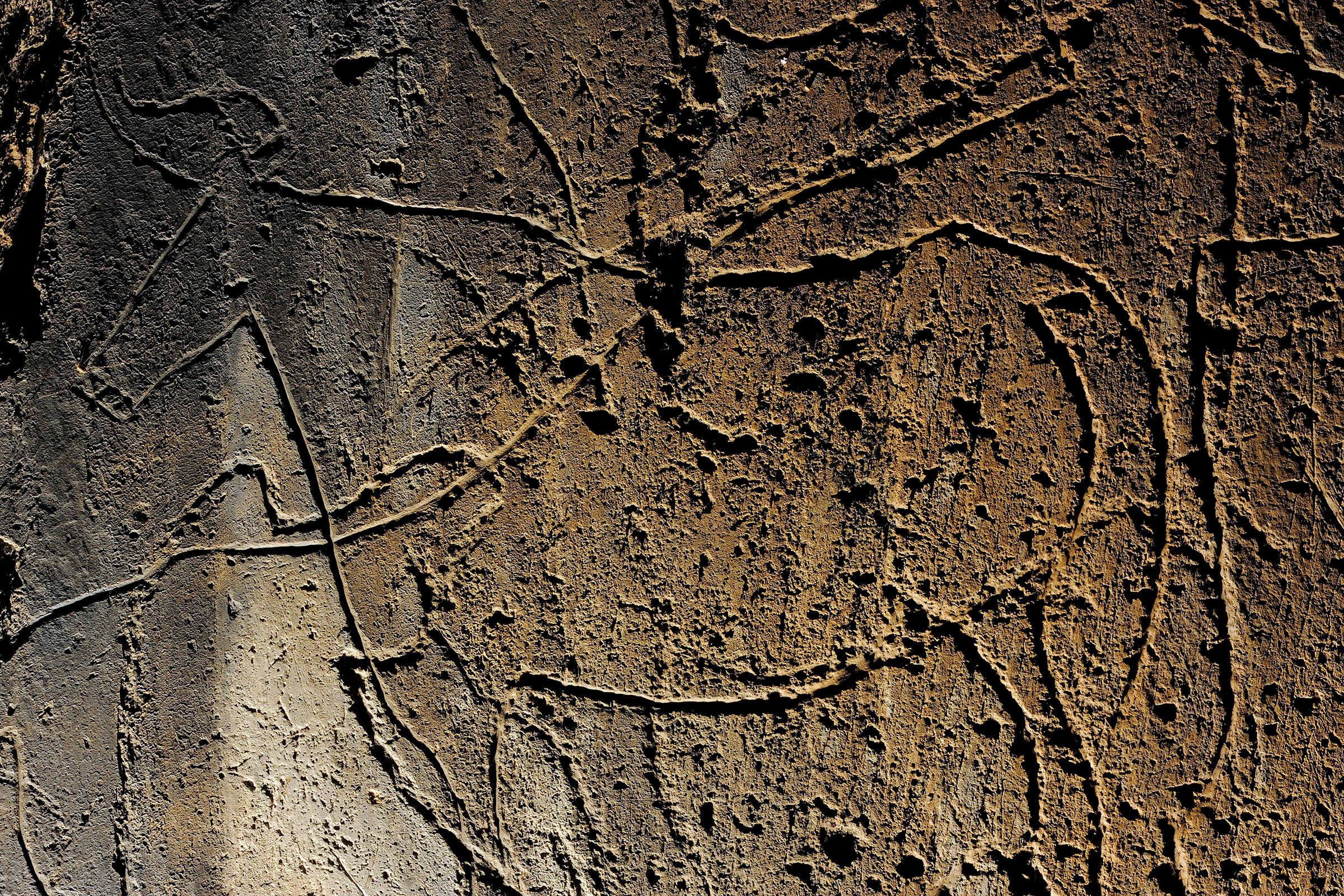 An etching of an aurochs adorns the wall of a cave in Portugal’s Côa Valley. Photograph by Alamy Stock Photo