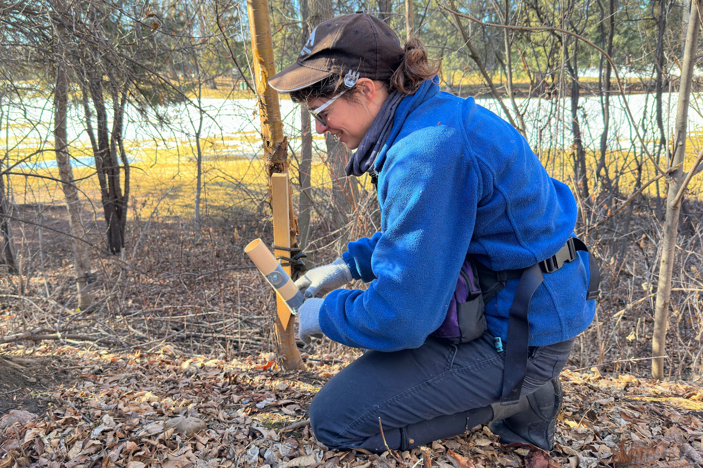 Sage Raymond, a PhD candidate at the University of Alberta, tests the problem-solving abilities of urban and rural coyotes by setting up puzzles that offer dog treats as rewards. Photograph by Betsy Mason