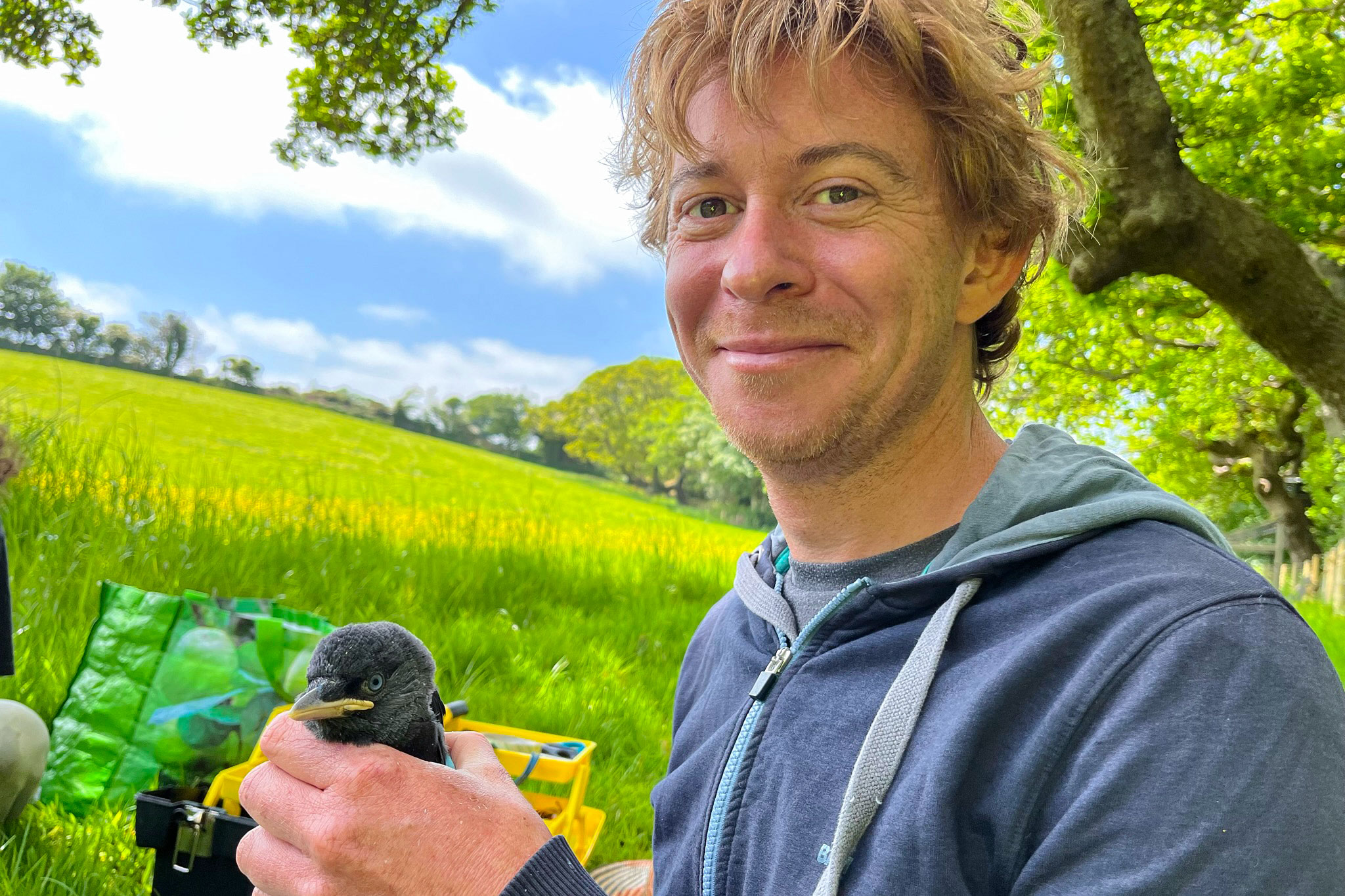 Behavioral ecologist Alex Thornton studies how jackdaws respond to people in urban environments. Photograph by Guill McIvor/Cornish Jackdaw Project