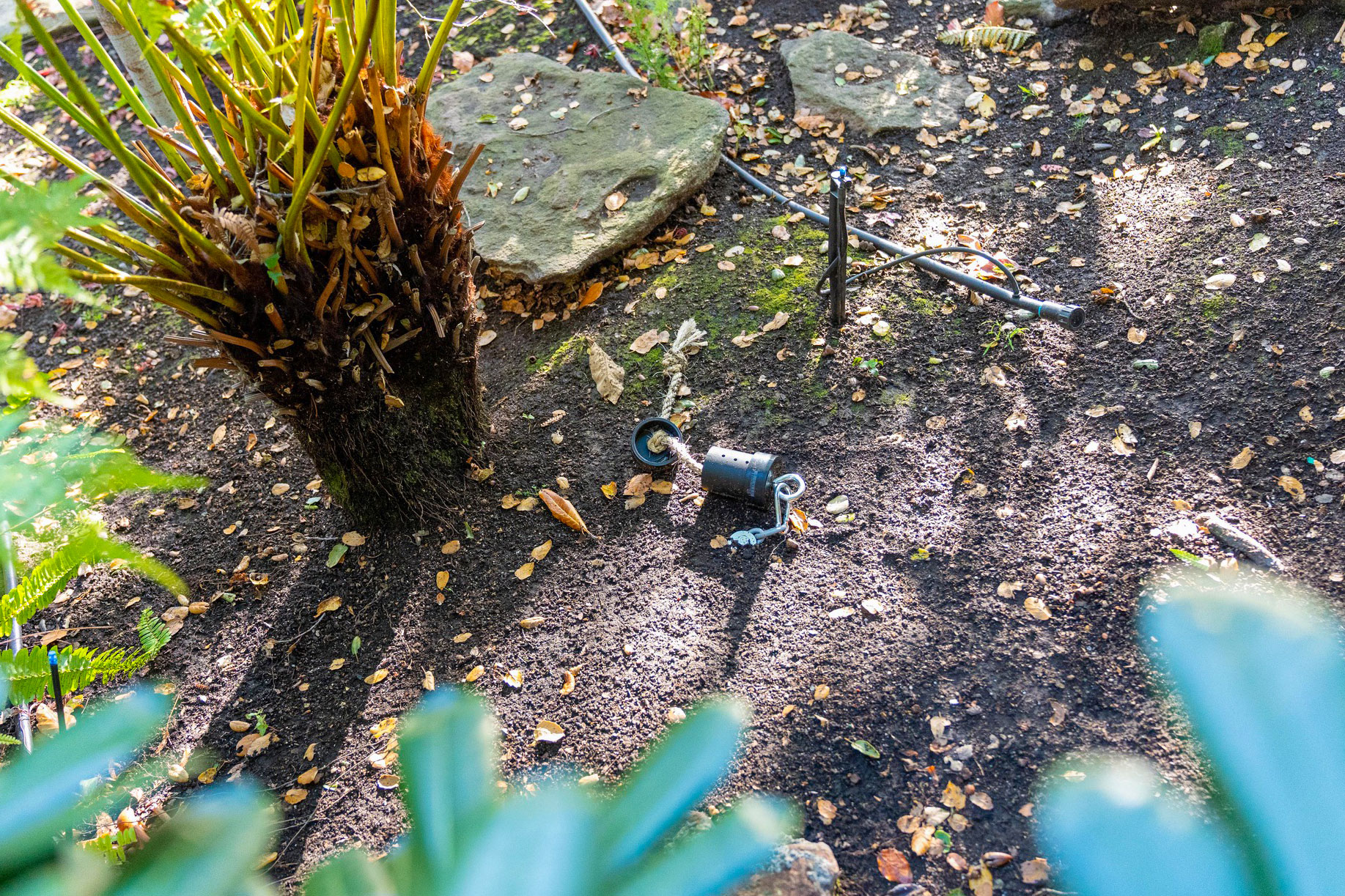 Researchers in California deploy custom-made puzzles—including the one shown here—to test the problem-solving capacity of urban mammals such as raccoons. Photograph by Betsy Mason