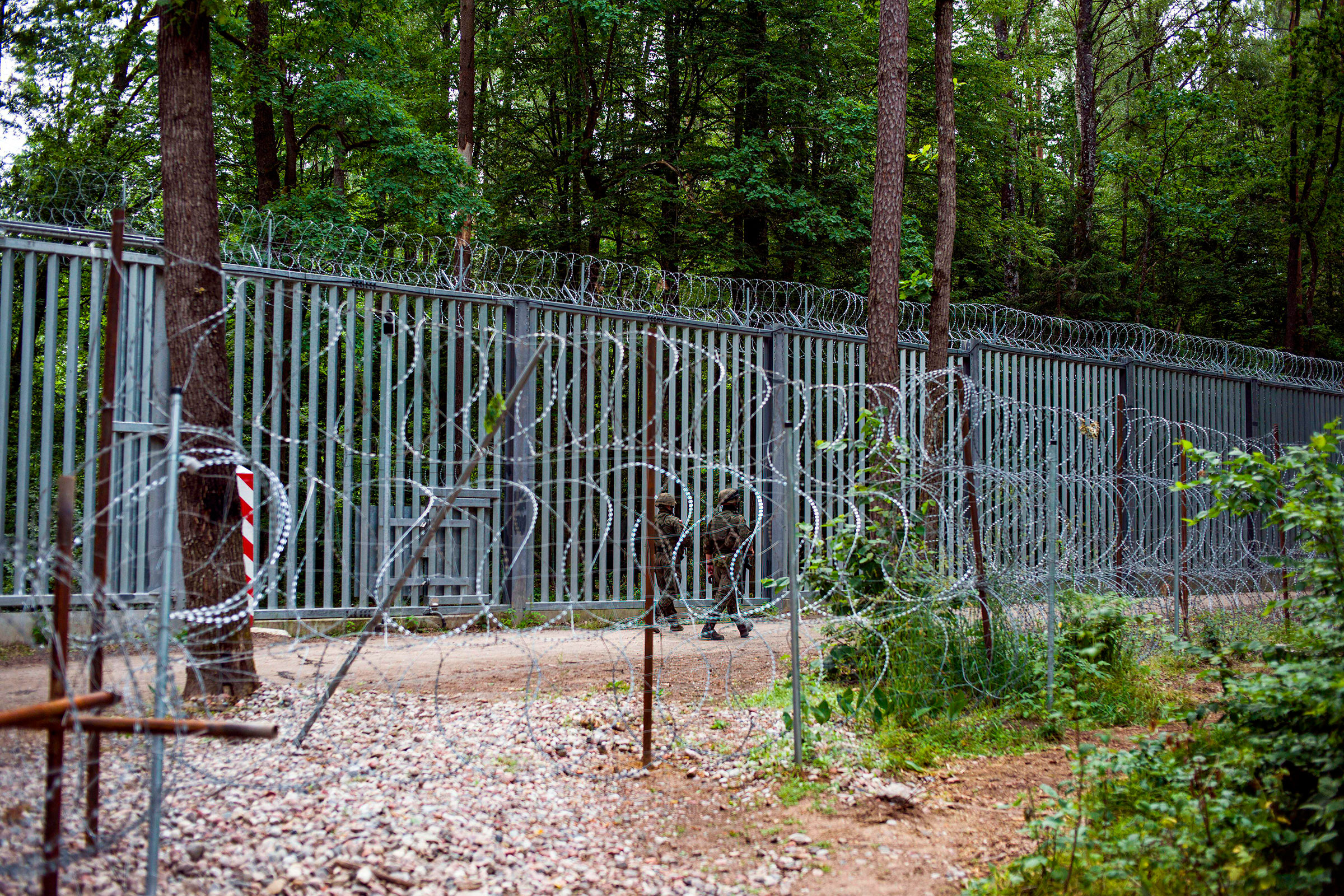 Poland/Belarus border fence in the Bialowieza forest