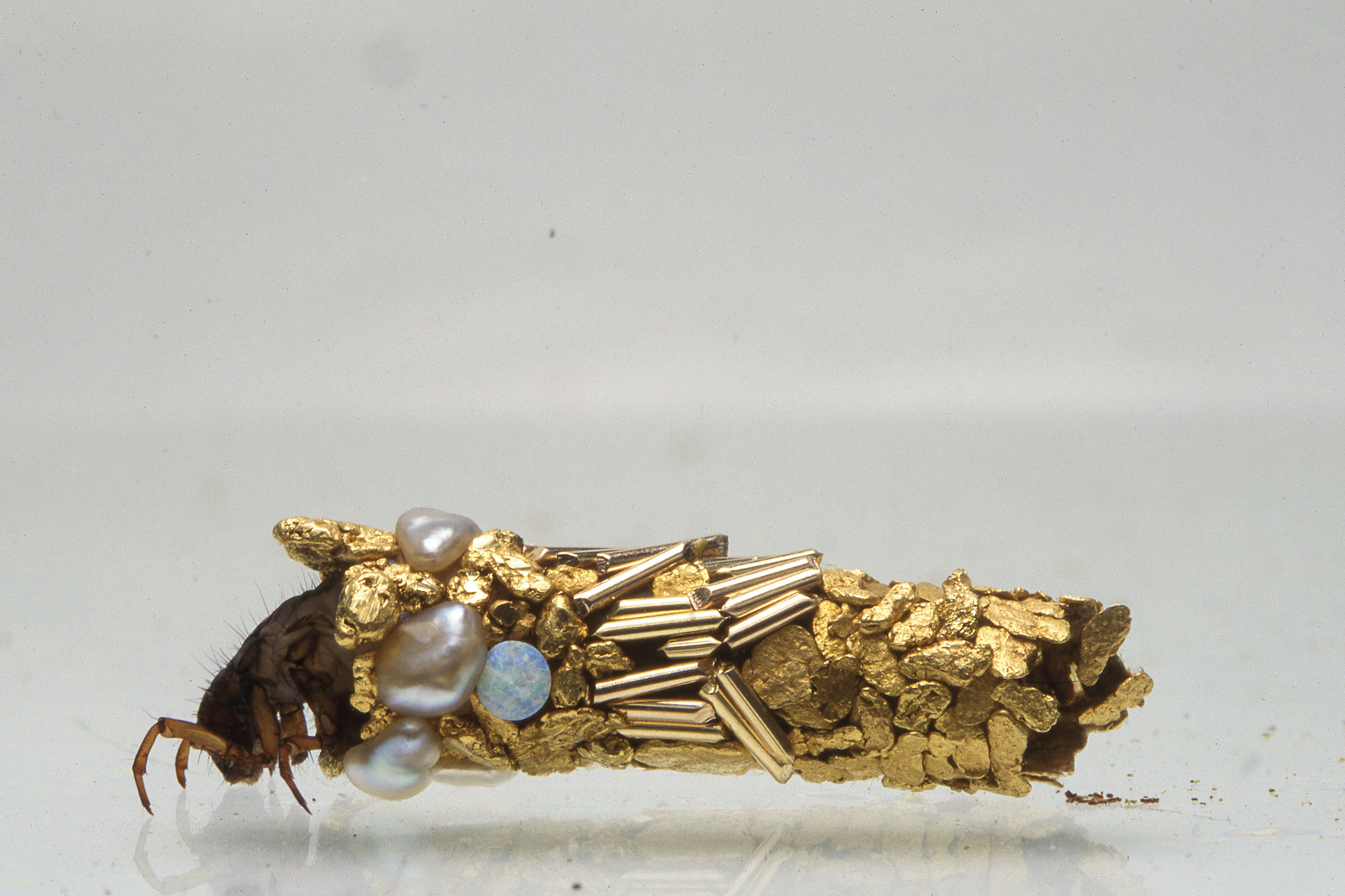 Caddisfly larva art by Hubert Duprat