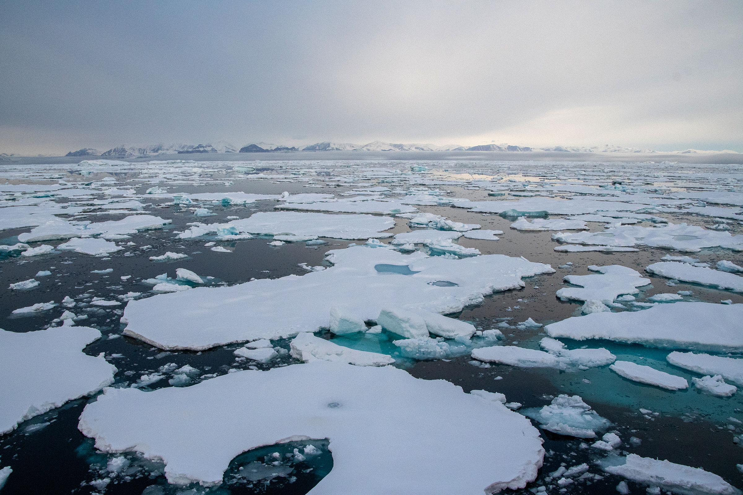 Sea ice in the arctic