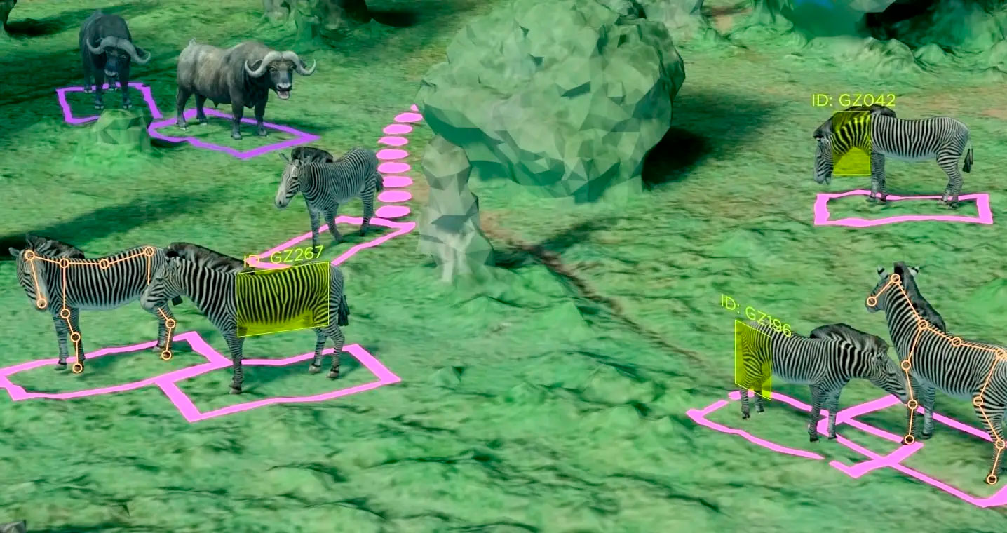 rendering of AI identifying individual animals