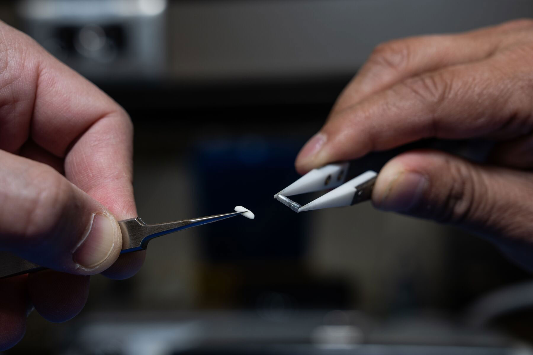 tiny fish tracker compared to a grain of rice