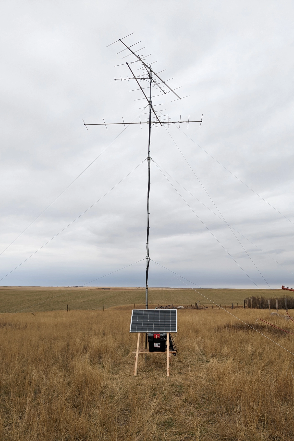 A Motus tower stands in a grassland.