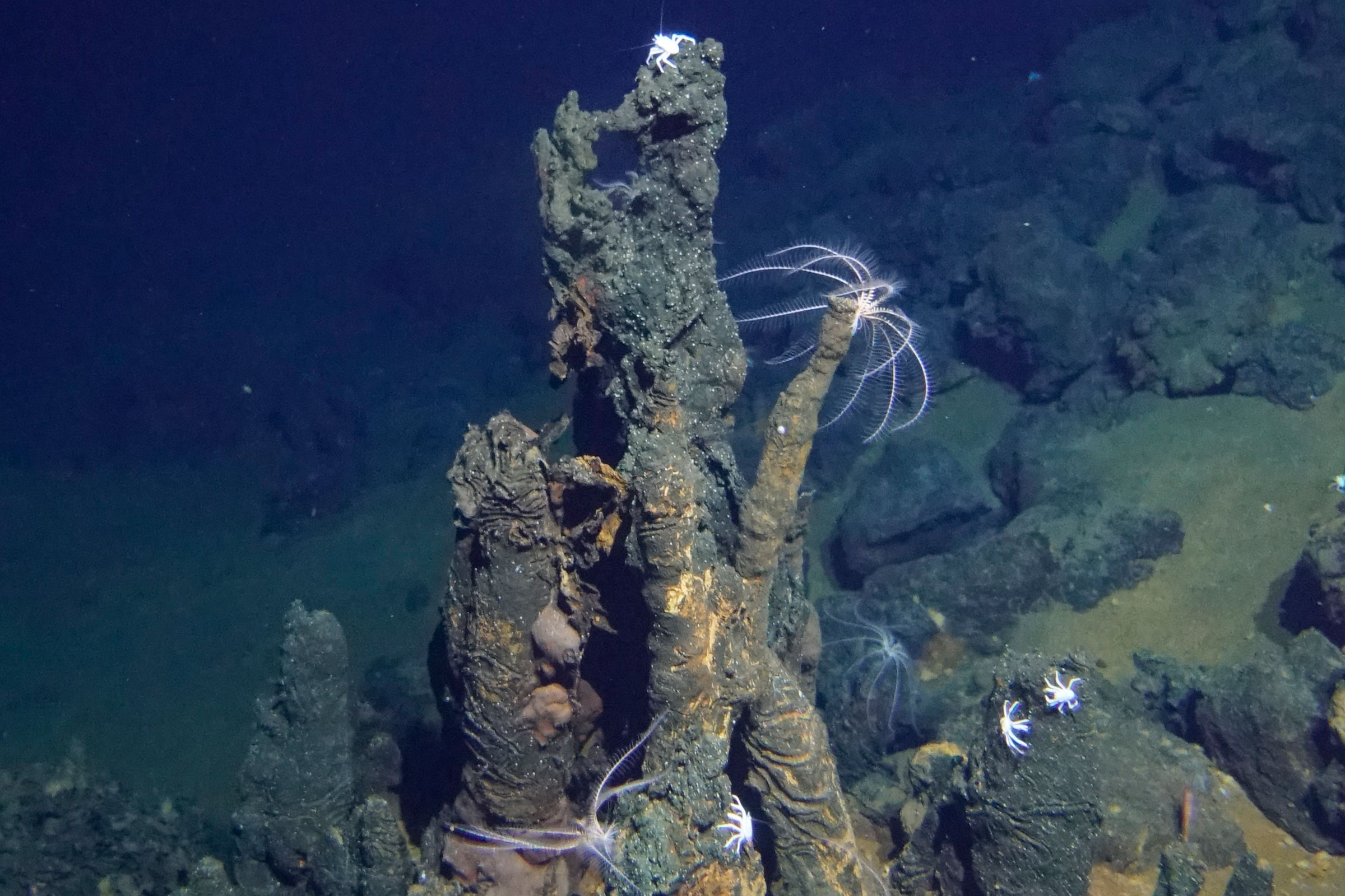 inactive hydrothermal vent