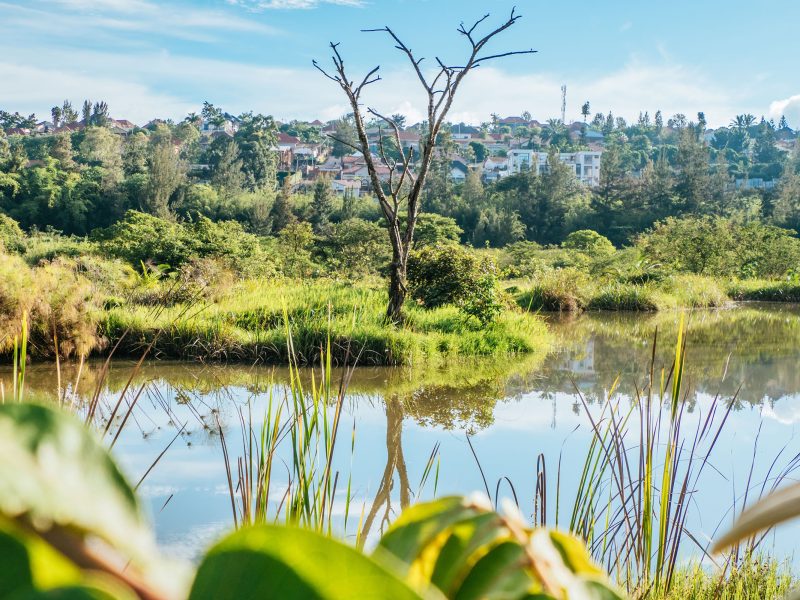 Lake at Nyandungu Urban Wetland Eco-tourism Park in Kigali, Rwanda