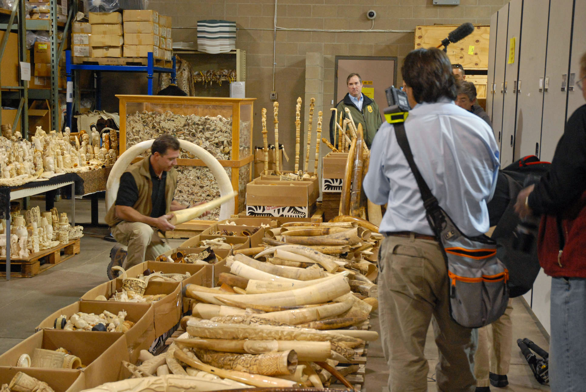 Ivory seized from illegal trade