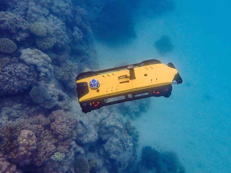 coral-monitoring robot