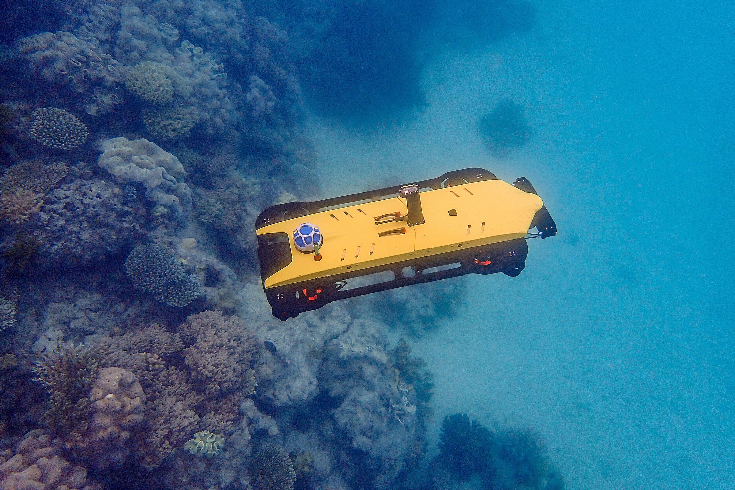 coral-monitoring robot