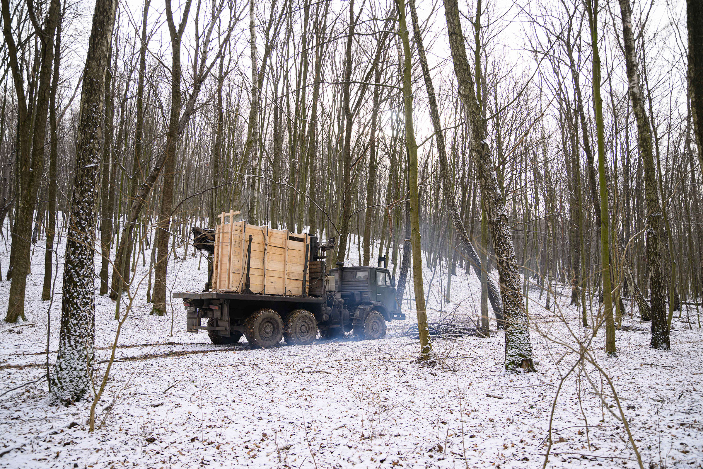 A truck transports a wooden crate containing a captured male bison through an oak forest near the city of Khmilnytske, Ukraine.