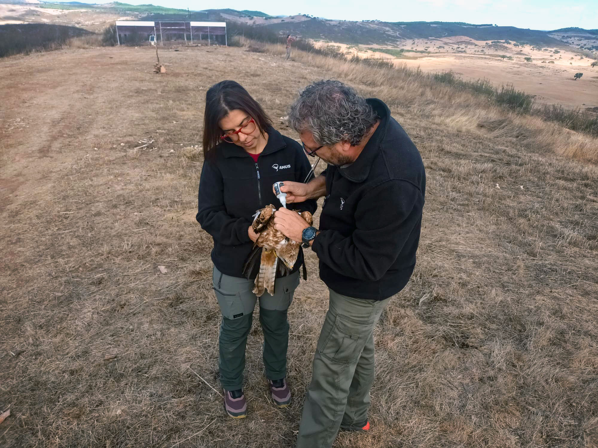 Alfonso Godino and Caterina Machado tag a red kite