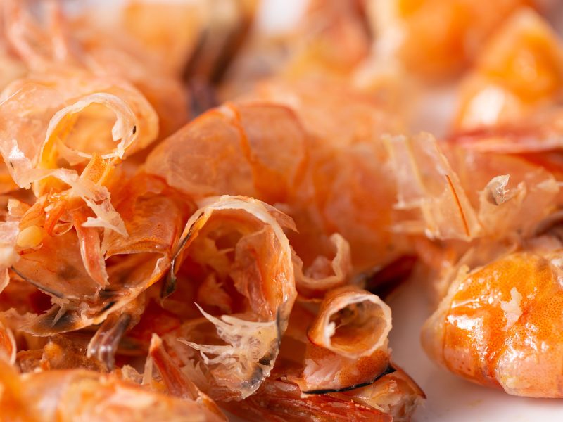 shrimp shells