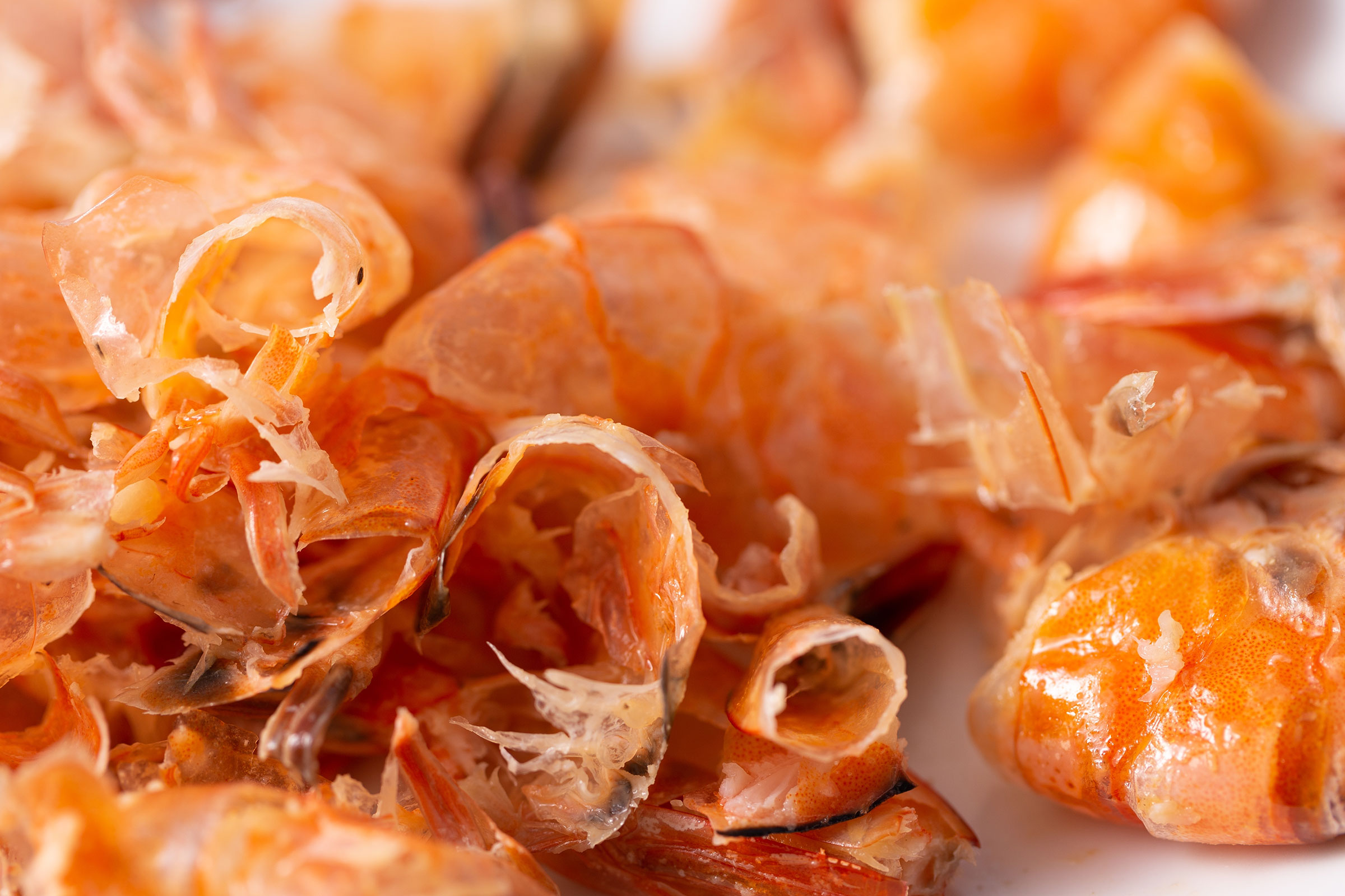 shrimp shells