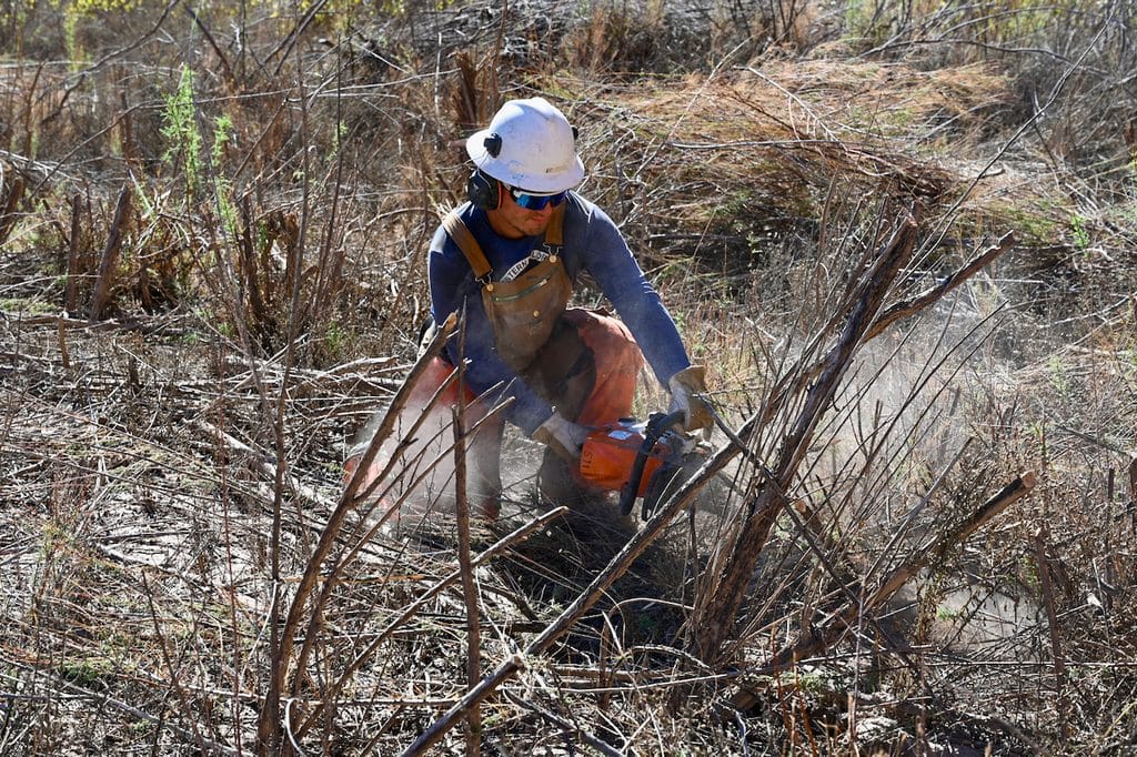 A crew member works to clear tamarisk on the banks of the Dolores River in Colorado