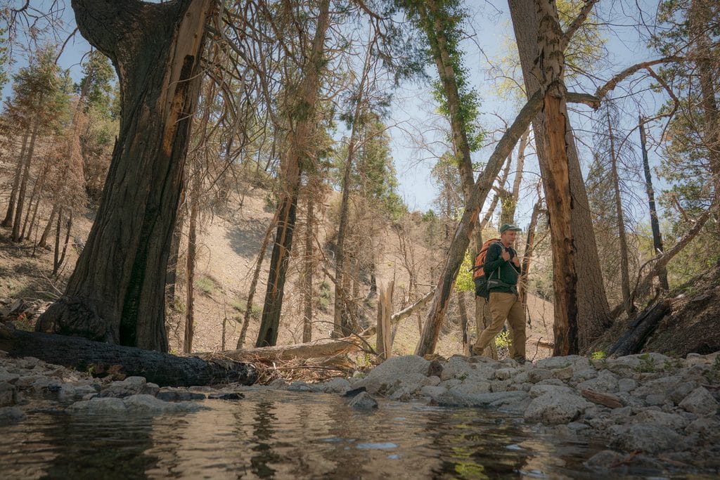 Backlin walks along one of the creeks in the San Gabriel Mountains while surveying for mountain yellow-legged frogs