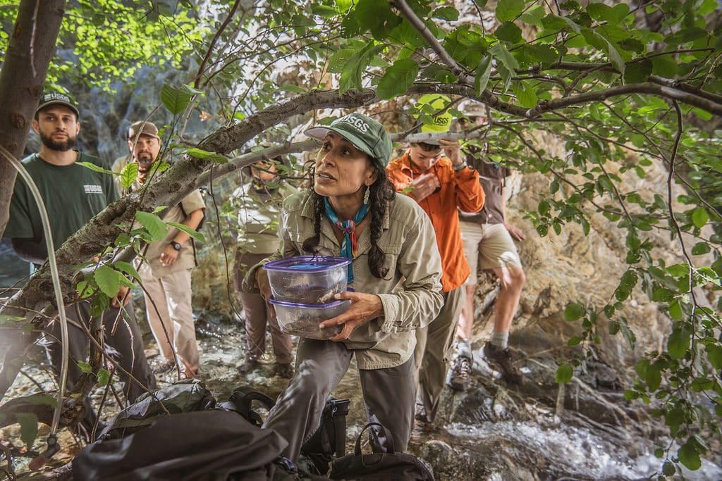 Gallegos and other members of the release crew navigate dense foliage