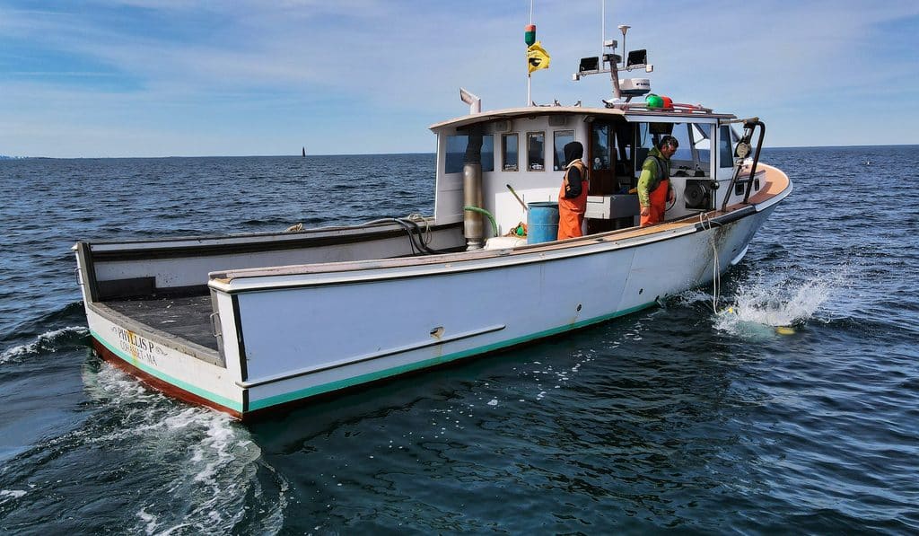 Lobsterman Mike Lane was one of just a few fisherman using ropless gear off the coast of Massachusetts during a fishing closure to protect North Atlantic right whales in 2025.